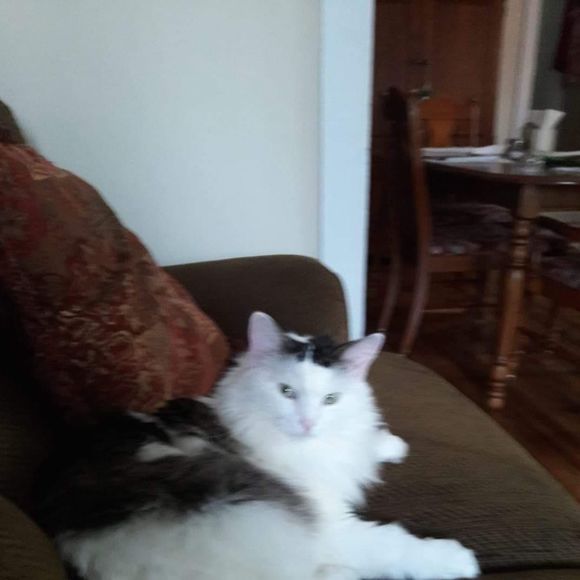 donna1963thomas